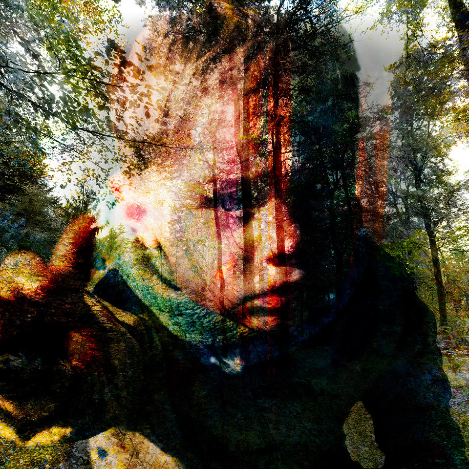 A child with a serious expression reaches towards the camera in a forest setting, with trees and foliage in the background.