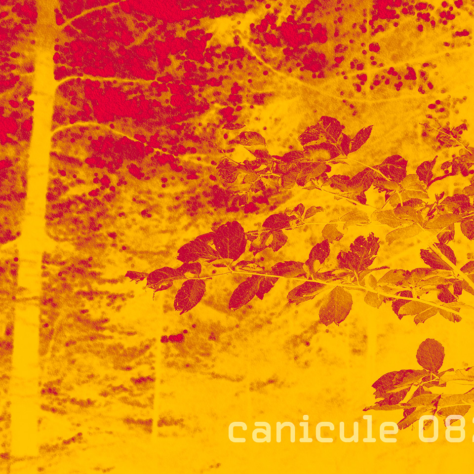 A stylized image of trees with leaves, featuring a red and yellow color scheme. The text "canicule 0823" is visible in the lower right corner.