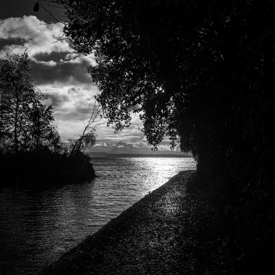 Paysage en noir et blanc avec un chemin longeant un plan d'eau, des arbres à gauche et à droite, et un ciel nuageux avec le soleil se reflétant sur l'eau.