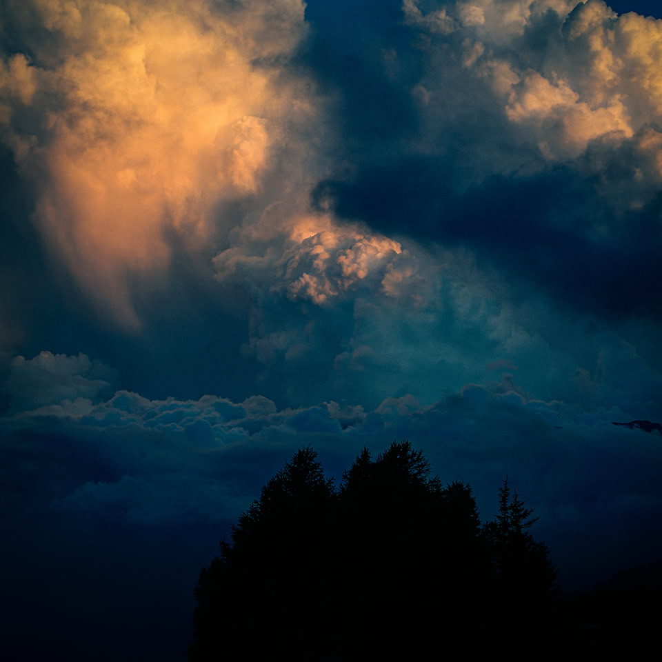 Nuages éclairés par le soleil couchant avec des silhouettes d'arbres sombres au premier plan.