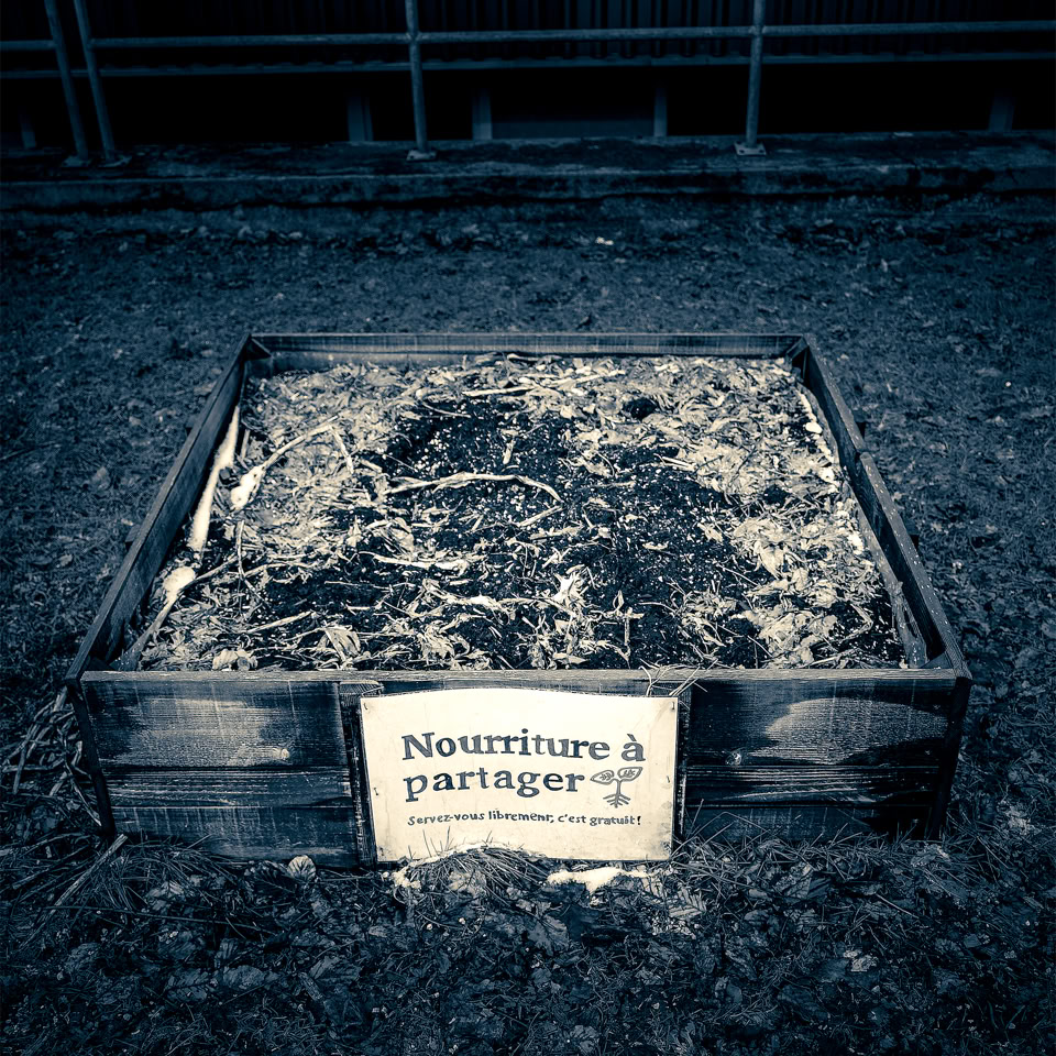 Bac en bois rempli de terre avec un panneau indiquant "plantation de printemps" sur le devant.