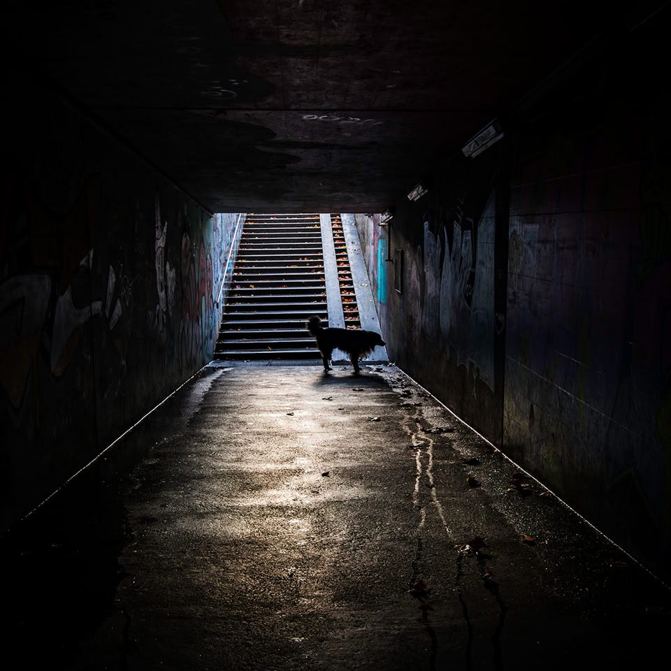 Un tunnel sombre avec des escaliers éclairés au bout, une silhouette assise sur un banc près de la sortie.